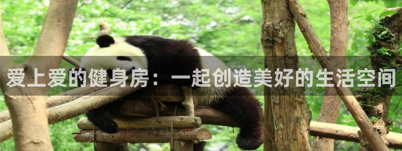 意昂2官方网站
