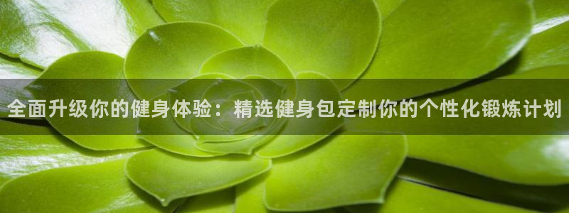 意昂2招商